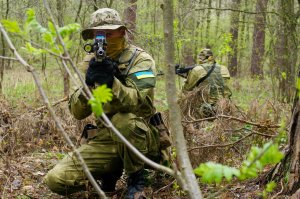 Спецслужбы Великобритании подготовят украинских диверсантов для работы на Донбассе
