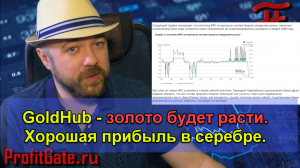 GoldHub - золото будет расти. Хорошая прибыль в серебре.