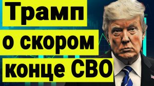 Обзор рынков