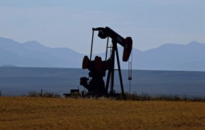 ОАЭ увеличат добычу нефти к концу года на 20%