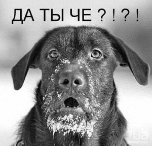 В США упали розничные продажи за декабрь и неожиданно выросла безработица.