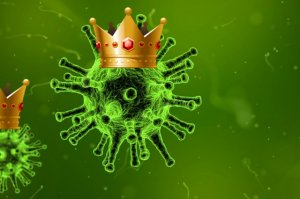 Ситуация с коронавирусом в РФ развивается не по оптимистическому сценарию
