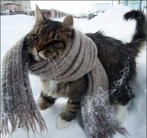 Фьючерсы на погоду. Есть ли тут метеорологи ?