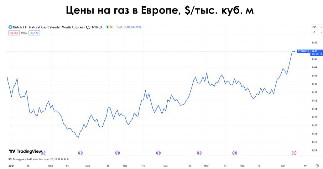 photo-2026-01-26-12-51-18.jpg photo-2026-01-26-12-51-18.jpg