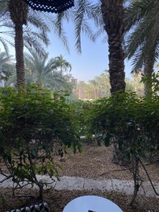 Техника в нефти за перехай