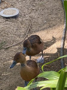 Перспективы индекса Мосбиржи