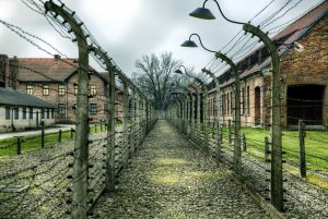 Осквернение Освенцима – следствие антисемитских законов в Польше