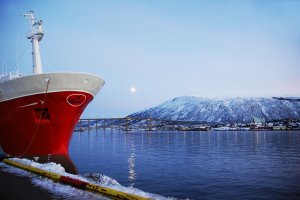 Норвегия нарушает собственные экологические принципы