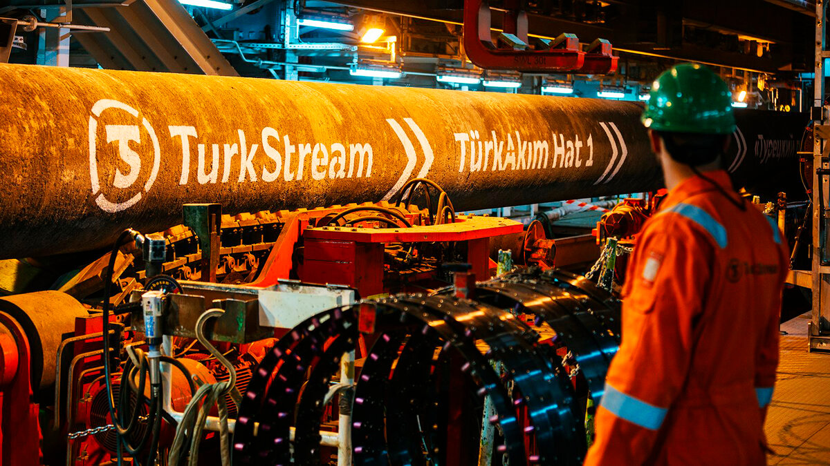 scale-1200.jpg scale-1200.jpg