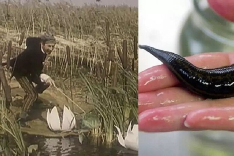 duremarscale-1200.jpg duremarscale-1200.jpg