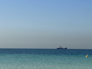 Шанс на отскок Шанс на отскок