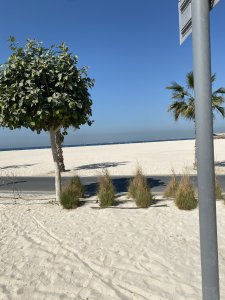 Кому и чего надо бояться прямо сейчас? Кому и чего надо бояться прямо сейчас?