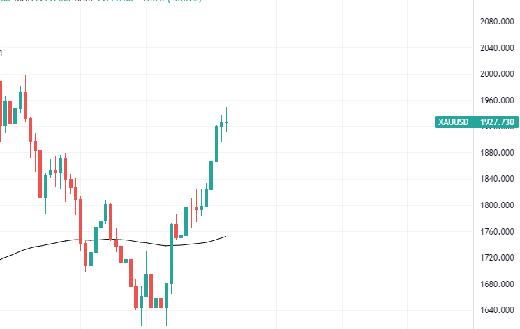 zoloto-29-01-2023.png zoloto-29-01-2023.png